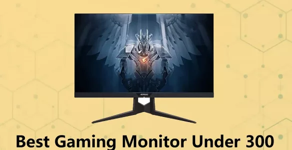 best gaming monitor under 300